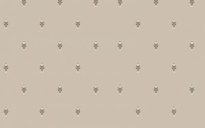 Kur'an Kursu ve Yurt Halısı Naturel